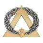 Insigne de Spécialité Brevet MONITEUR SECOURISTE OR