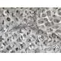 Filet de Camouflage BASIC MILITARY Blanc 3 x 6m