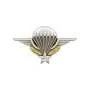 Insigne Brevet Para fixation Pin's