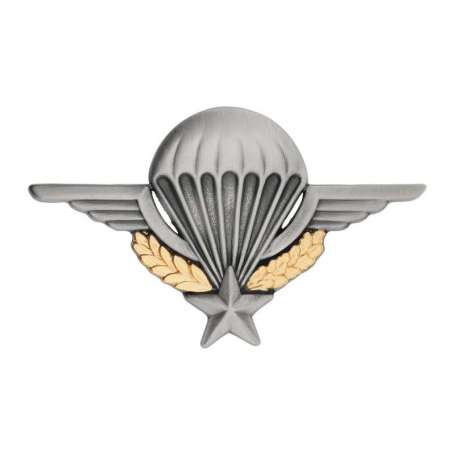 Insigne Brevet Para G1185 Mat Fixation Épingle Boussemart