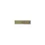 Agrafe Ordonnance HARPIE Bronze