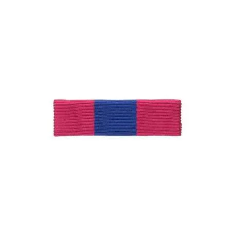 Barrette Dixmude Défense Nationale Bronze