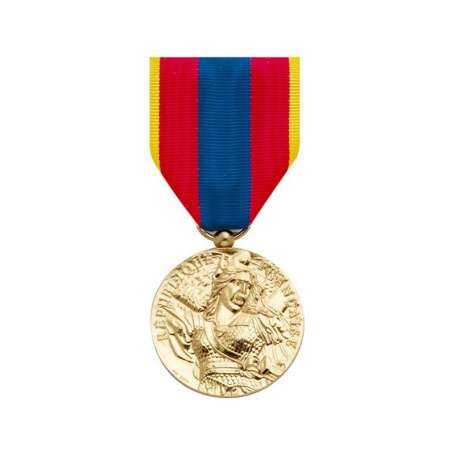 Médaille de la Défense Nationale Or (non contractuelle)