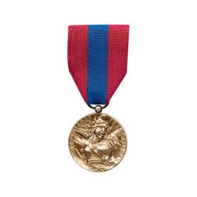 Médaille de la Défense Nationale Bronze Patine