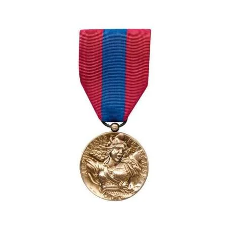Médaille de la Défense Nationale Bronze Patine (non contractuelle)
