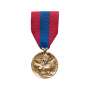 Médaille de la Défense Nationale Bronze Patine (non contractuelle)