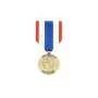Médaille de la protection Militaire du Territoire (photo non contractuelle)