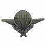 Écusson Brevet Para G1185 BV Thermocollant