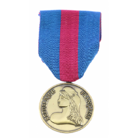 Médaille des réservistes Volontaires de Défense et de Sécurité Intérieure Bronze