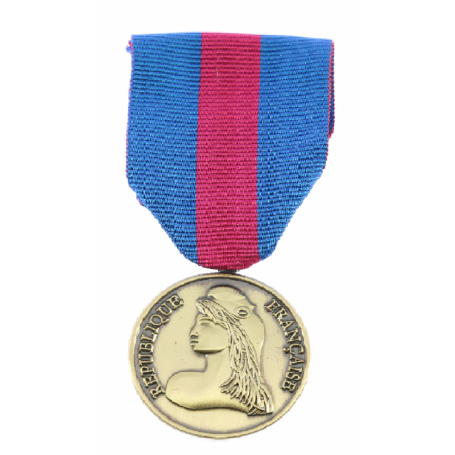 Médaille des réservistes Volontaires de Défense et de Sécurité Intérieure Bronze