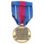 Médaille des réservistes Volontaires de Défense et de Sécurité Intérieure Bronze