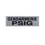 Bandeau d'Identification rétro-réfléchissant PSIG Fond Gris Patrol