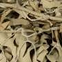 Filet de Camouflage BASIC MILITARY Désert 3 x 3m