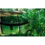 Hamac moustiquaire MYNEST RAL7013 Tac Maven D19025