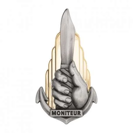 Brevet MONITEUR TIOR (non contractuelle)