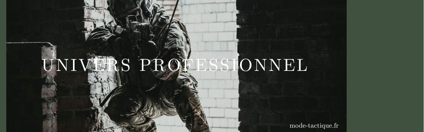 Univers professionnel